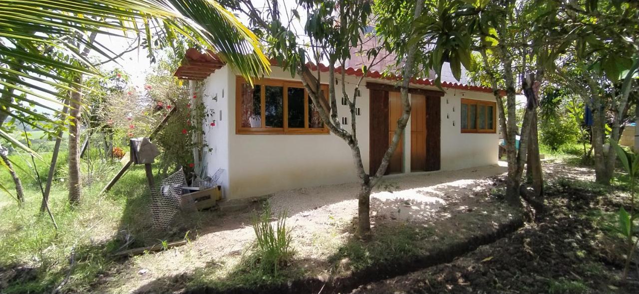 Bed and Breakfast Casita Tonina à Ocosingo Extérieur photo