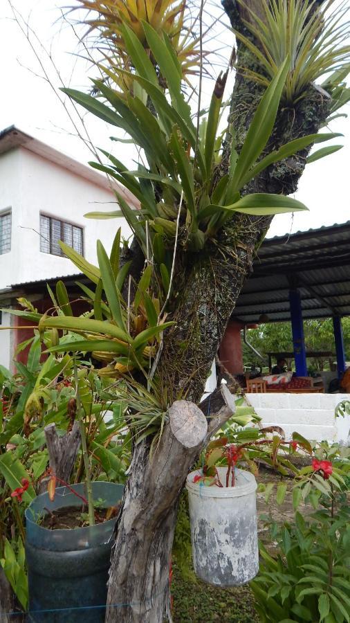 Bed and Breakfast Casita Tonina à Ocosingo Extérieur photo